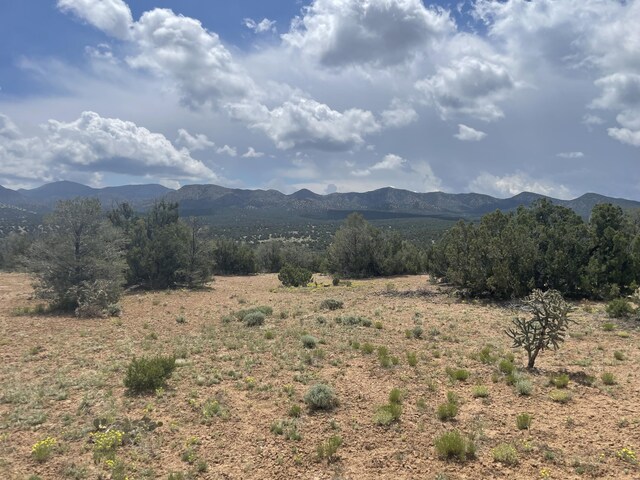 14 Tecolote Ct, Sandia Park, NM 87047 - photo 9