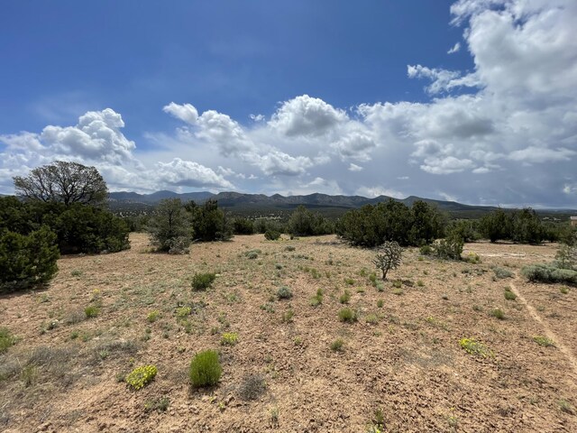 14 Tecolote Ct, Sandia Park, NM 87047 - photo 8