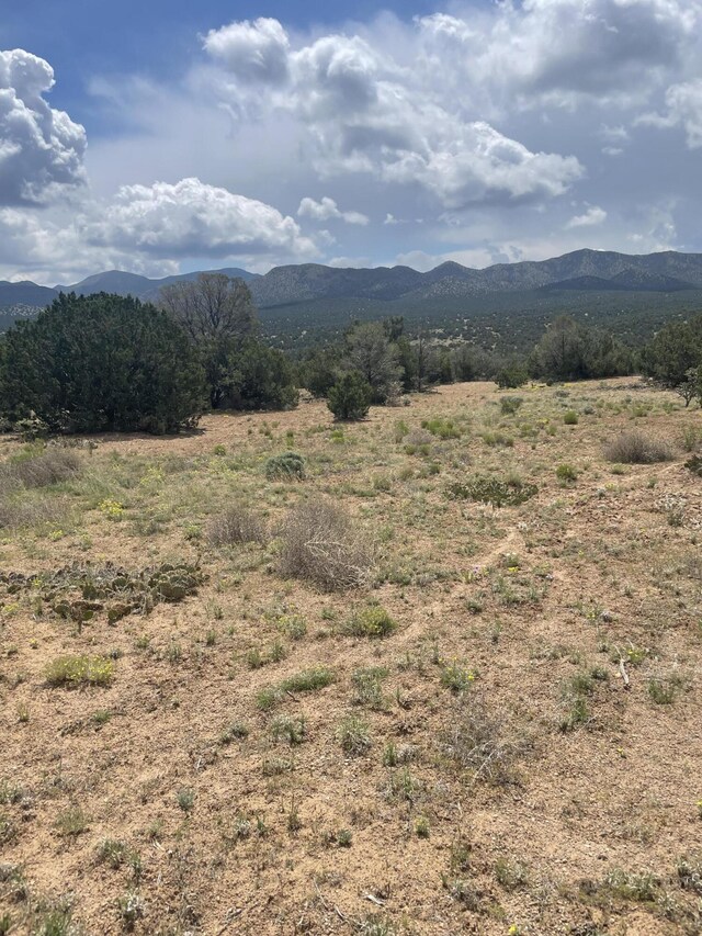 14 Tecolote Ct, Sandia Park, NM 87047 - photo 5