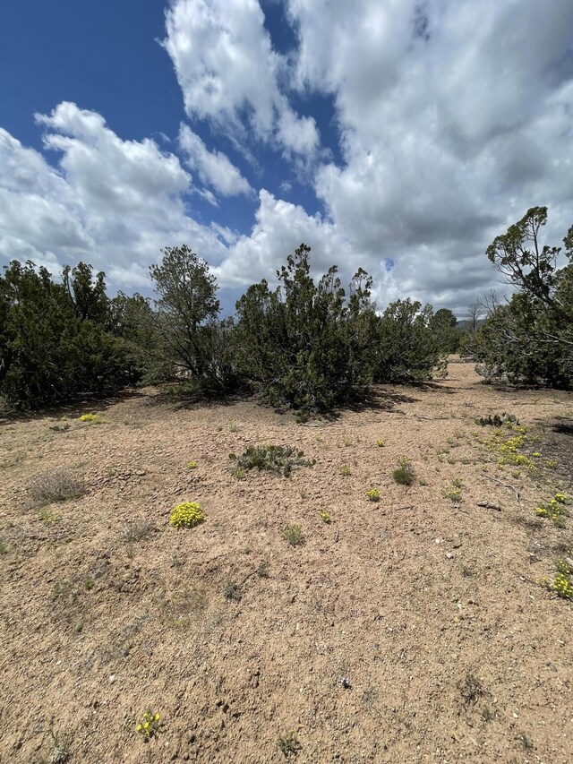 14 Tecolote Ct, Sandia Park, NM 87047 - photo 4