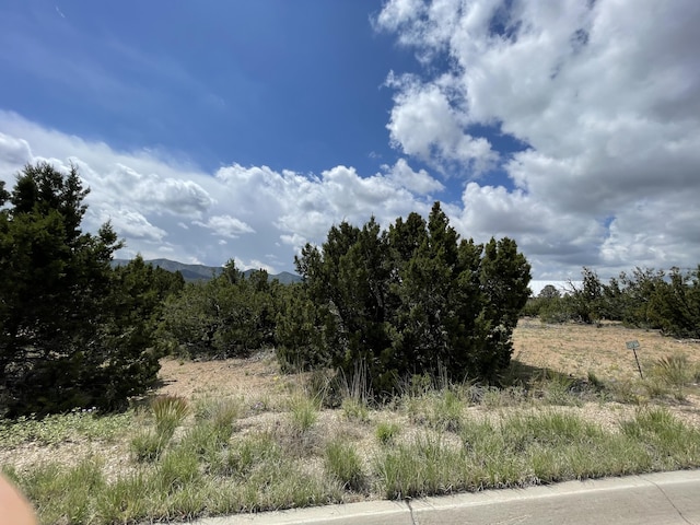 14 Tecolote Ct, Sandia Park, NM 87047 - photo 3