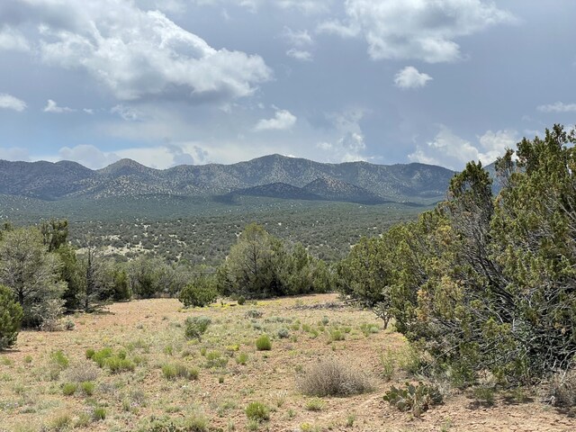14 Tecolote Ct, Sandia Park, NM 87047 - photo 2