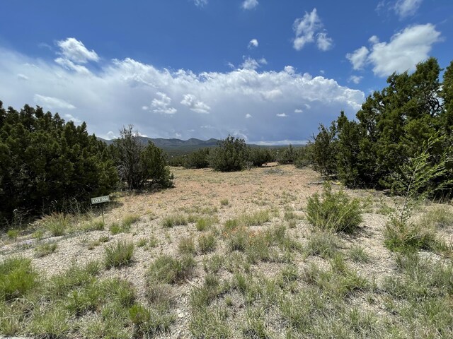 14 Tecolote Ct, Sandia Park, NM 87047 - photo 21