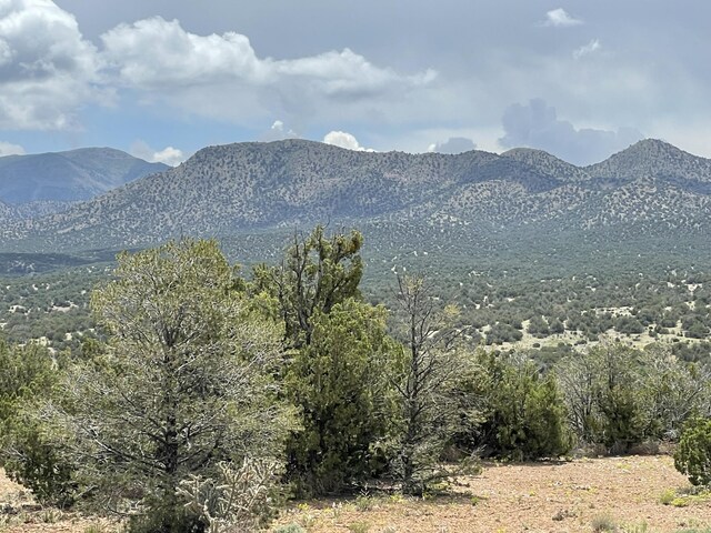 14 Tecolote Ct, Sandia Park, NM 87047 - photo 19