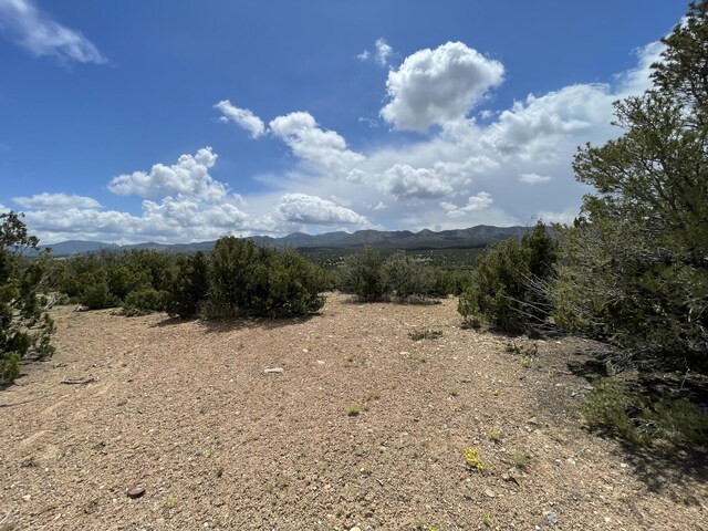 14 Tecolote Ct, Sandia Park, NM 87047 - photo 14