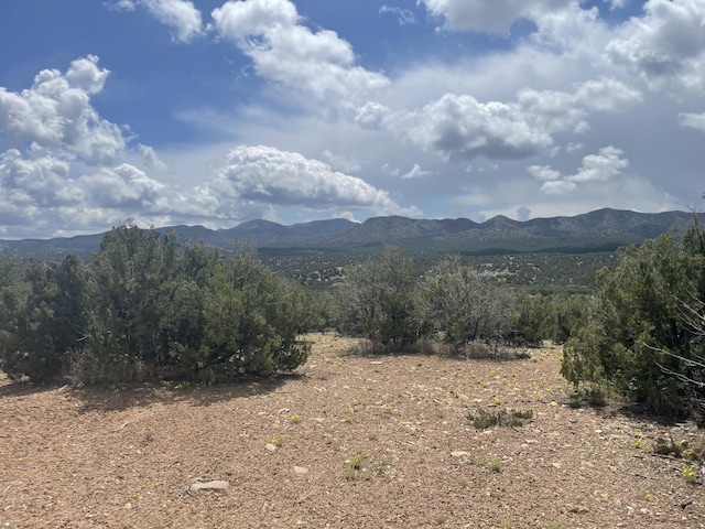 14 Tecolote Ct, Sandia Park, NM 87047 - photo 13