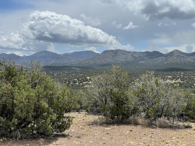 14 Tecolote Ct, Sandia Park, NM 87047 - photo 12