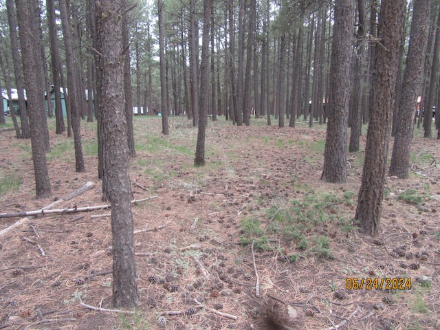 Listing photo 3 for Pinehurst Way, Angel Fire NM 87710