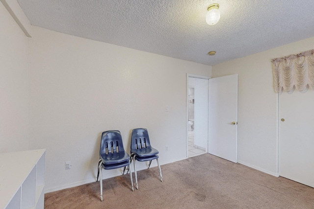 interior space featuring light carpet and a textured ceiling