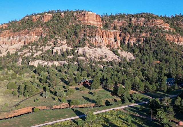 view of mountain feature featuring a wooded view