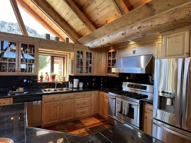 kitchen featuring decorative backsplash, dark countertops, stainless steel appliances, under cabinet range hood, and a sink