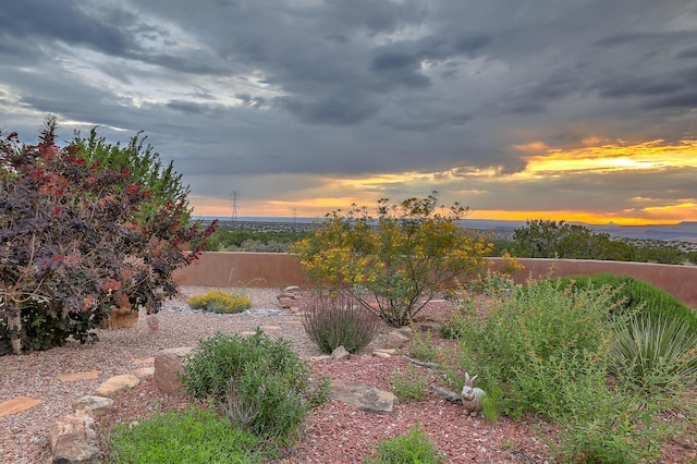 view of yard at dusk