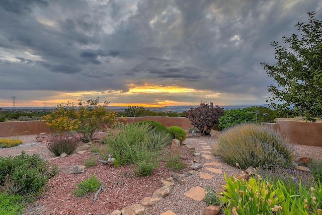 view of yard at dusk