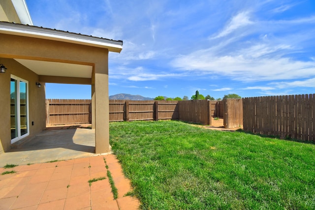 view of yard featuring a patio