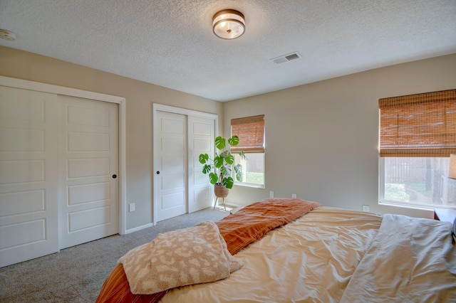 carpeted bedroom with two closets, multiple windows, and a textured ceiling