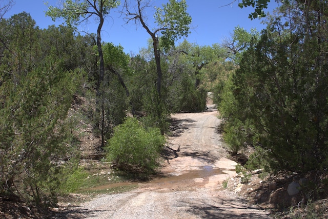 Listing photo 2 for Tres Amigos, Placitas NM 87043