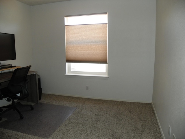 office area featuring baseboards, carpet, and plenty of natural light