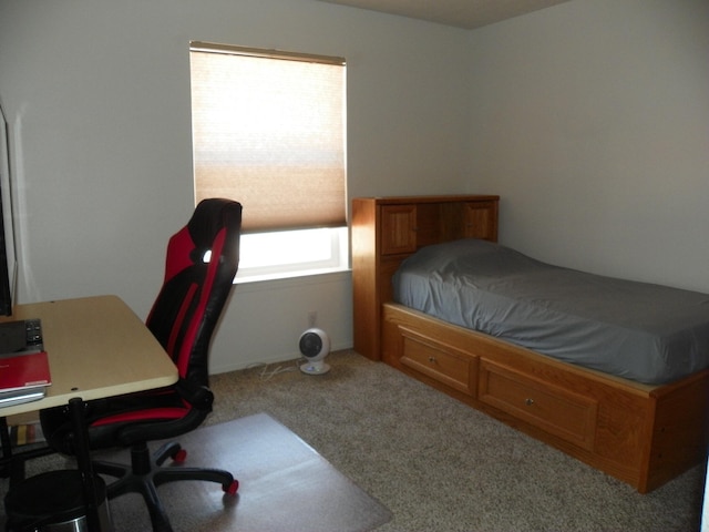 bedroom featuring carpet