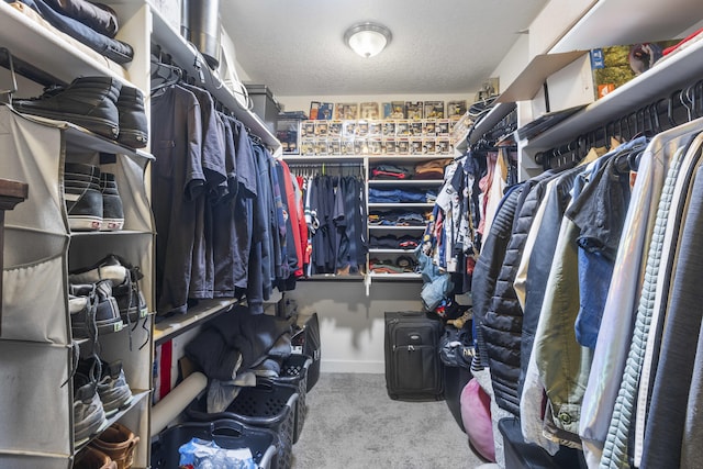 spacious closet with carpet