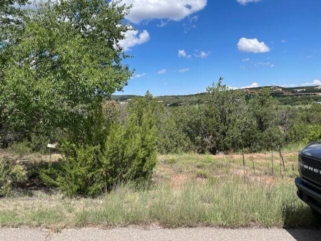 Listing photo 3 for Paako Dr Unit 415, Sandia Park NM 87047