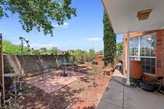 view of yard with a patio