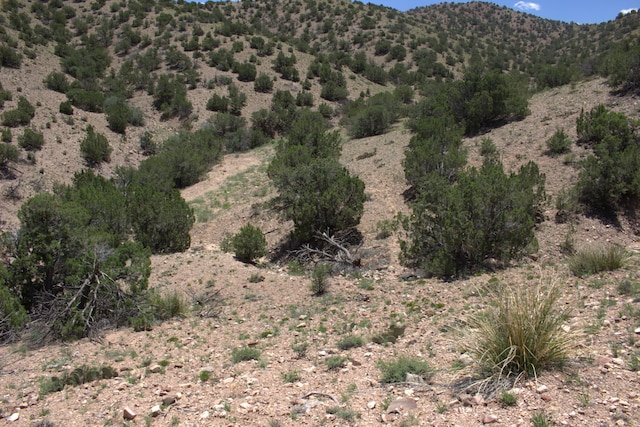 Tres Amigos Rd, Placitas NM, 87043 land for sale