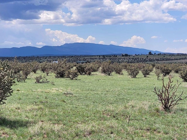 323 Thompson Rd, Edgewood NM, 87015 land for sale