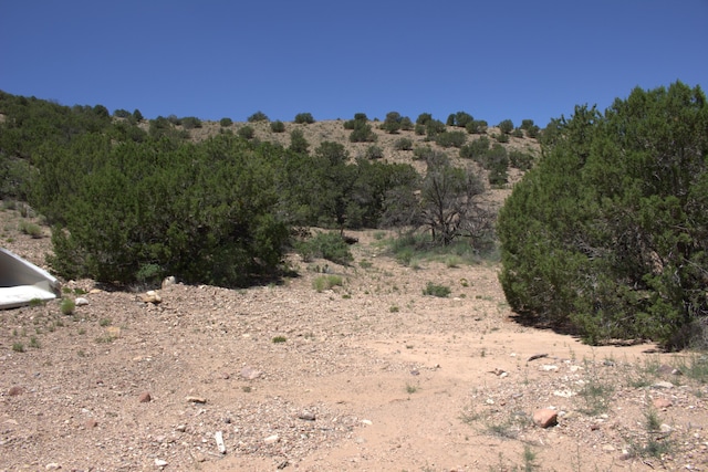 Listing photo 2 for Tres Amigos Rd, Placitas NM 87043