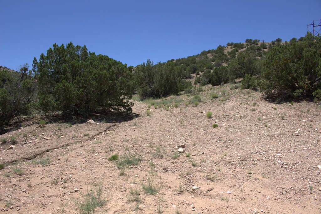 Tres Amigos Rd, Placitas, NM 87043