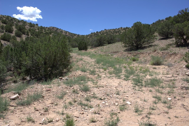 Listing photo 3 for Tres Amigos Rd, Placitas NM 87043