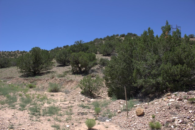 Listing photo 2 for Tres Amigos Rd, Placitas NM 87043