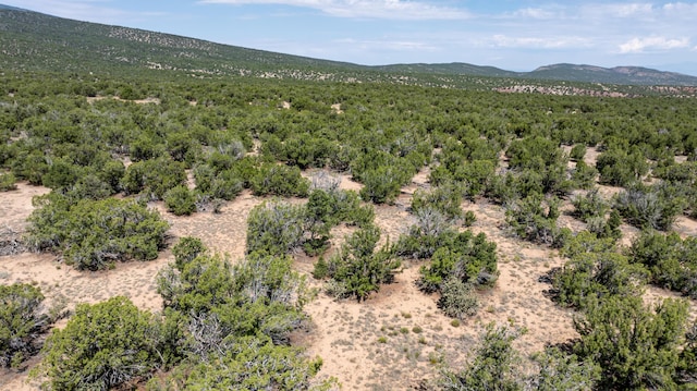 U3TR11A Pinon Ridge Rd, Sandia Park, NM 87047 - photo 17