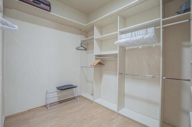 spacious closet featuring light wood-type flooring