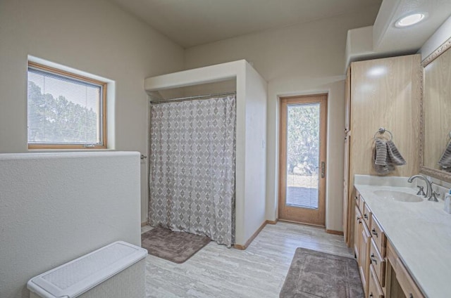 bathroom featuring hardwood / wood-style flooring and vanity