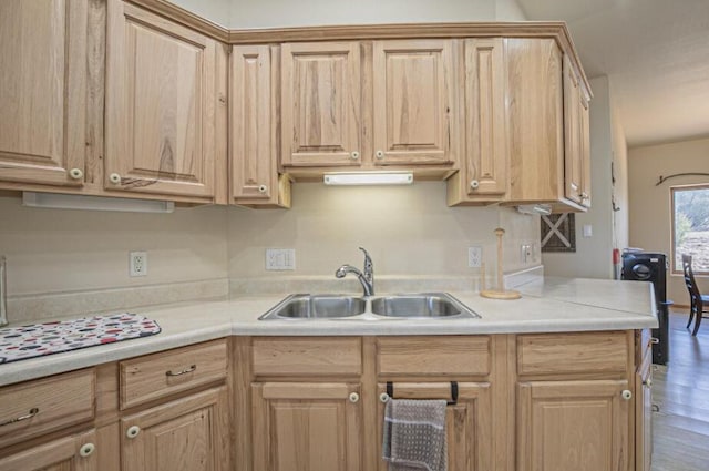 kitchen featuring sink and hardwood / wood-style flooring