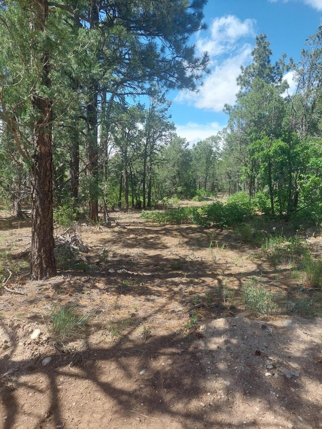 16 Secret Pines Ct, Tijeras NM, 87059 land for sale