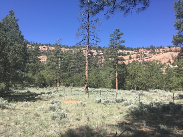 Listing photo 3 for LOT33 Aspen Loop, Ramah NM 87321