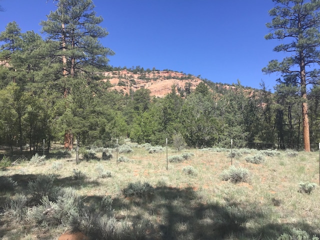 LOT33 Aspen Loop, Ramah NM, 87321 land for sale