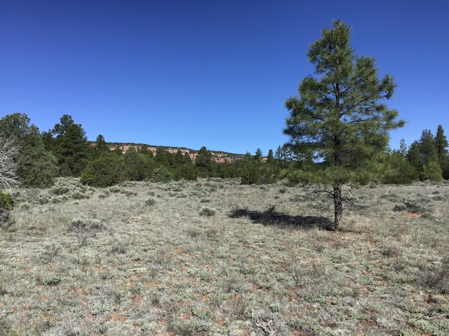 LOT23 Cottonwood Ln, Ramah, NM 87321