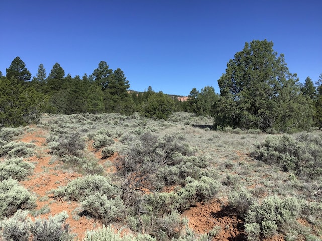 LOT23 Cottonwood Ln, Ramah, NM 87321