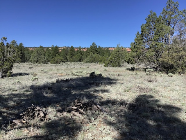 Listing photo 3 for LOT23 Cottonwood Ln, Ramah NM 87321