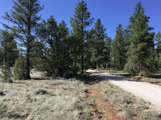 LOT23 Cottonwood Ln, Ramah, NM 87321