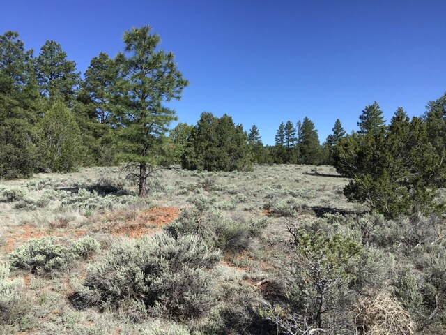LOT23 Cottonwood Ln, Ramah, NM 87321