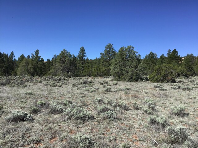 LOT23 Cottonwood Ln, Ramah, NM 87321