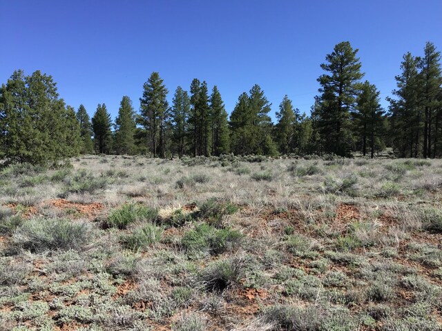 LOT23 Cottonwood Ln, Ramah, NM 87321
