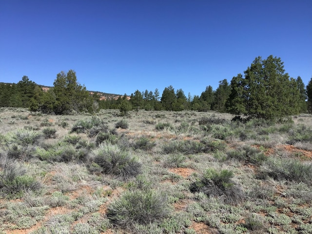 LOT23 Cottonwood Ln, Ramah, NM 87321