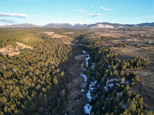 County Rd 76, Truchas, NM 87578 - photo 7