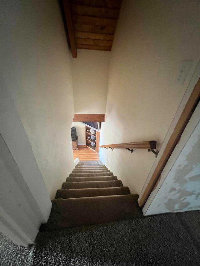 stairway with carpet floors