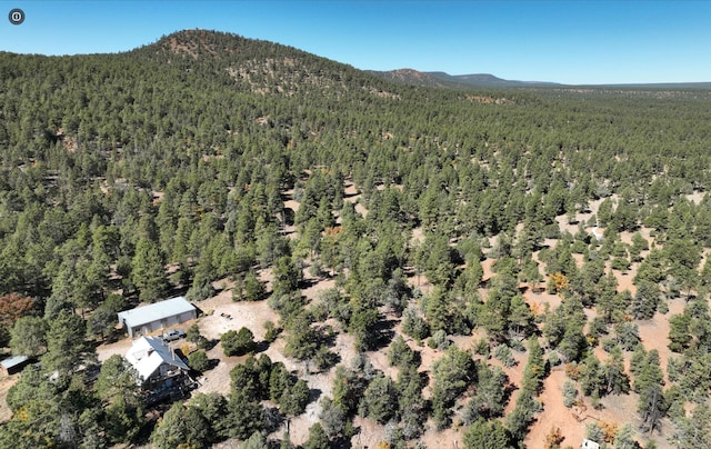 drone / aerial view featuring a mountain view