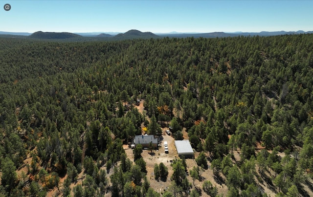 birds eye view of property featuring a mountain view